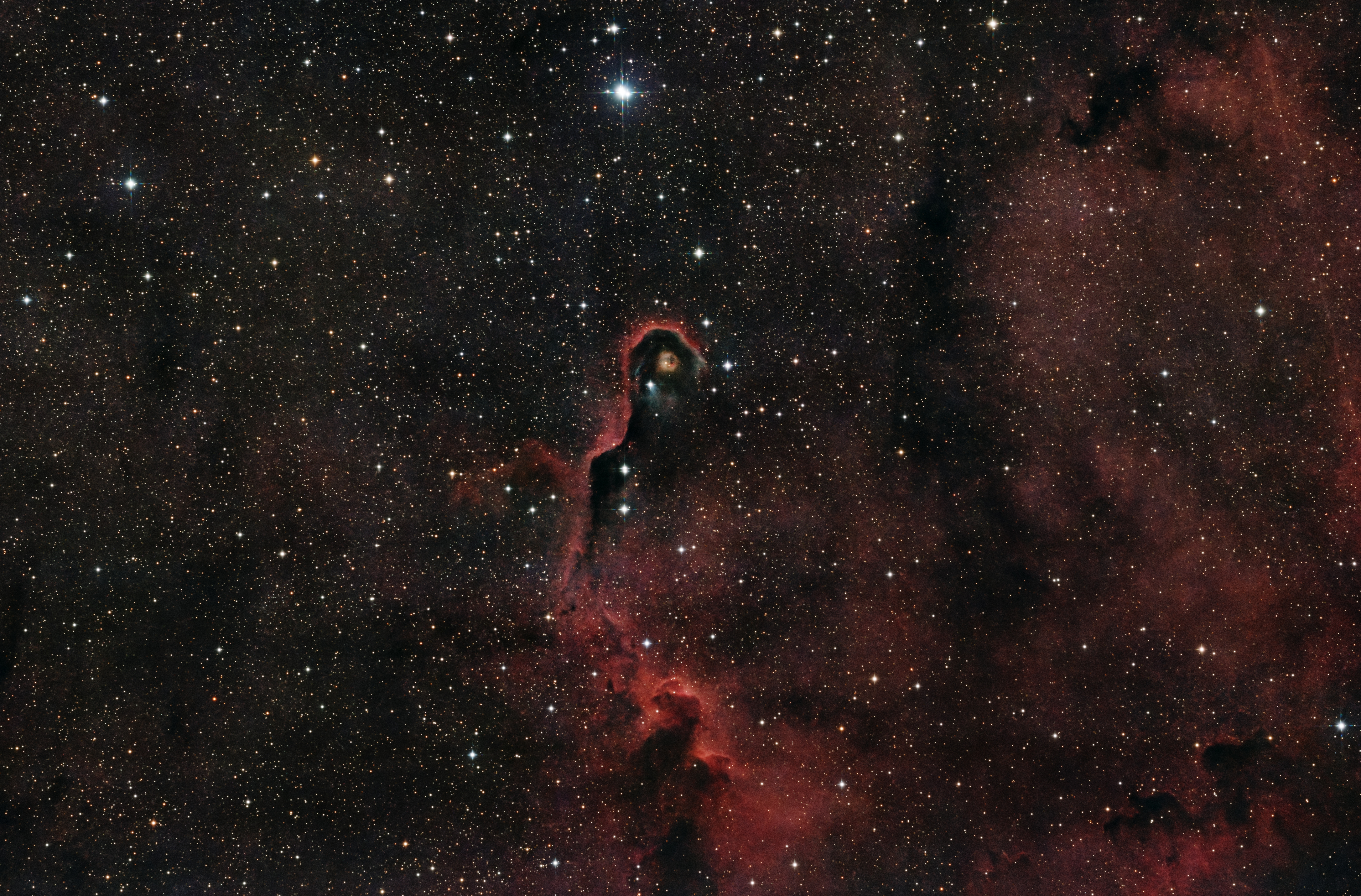 Elephant's Trunk Nebula