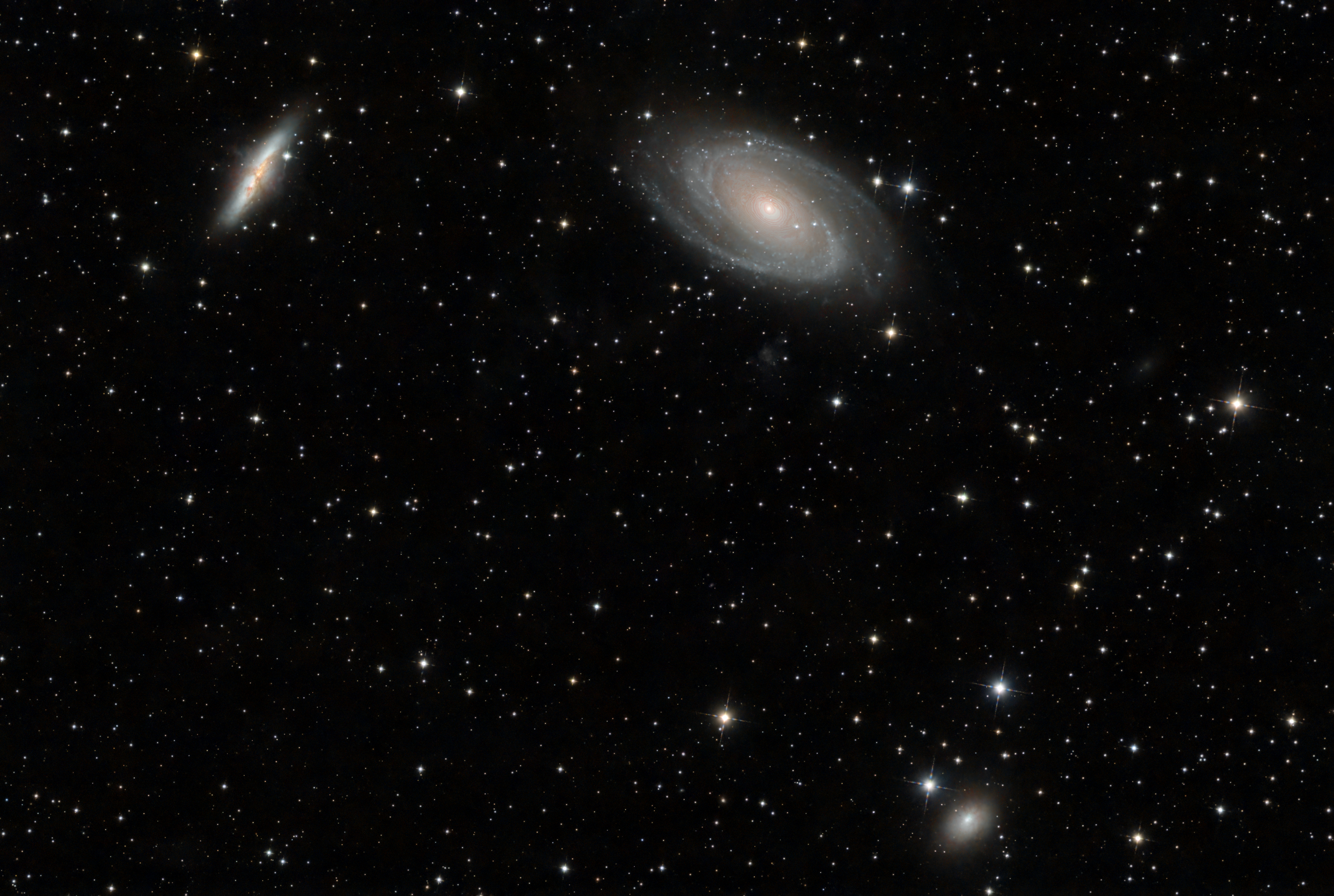 Bode's Galaxy and Companions