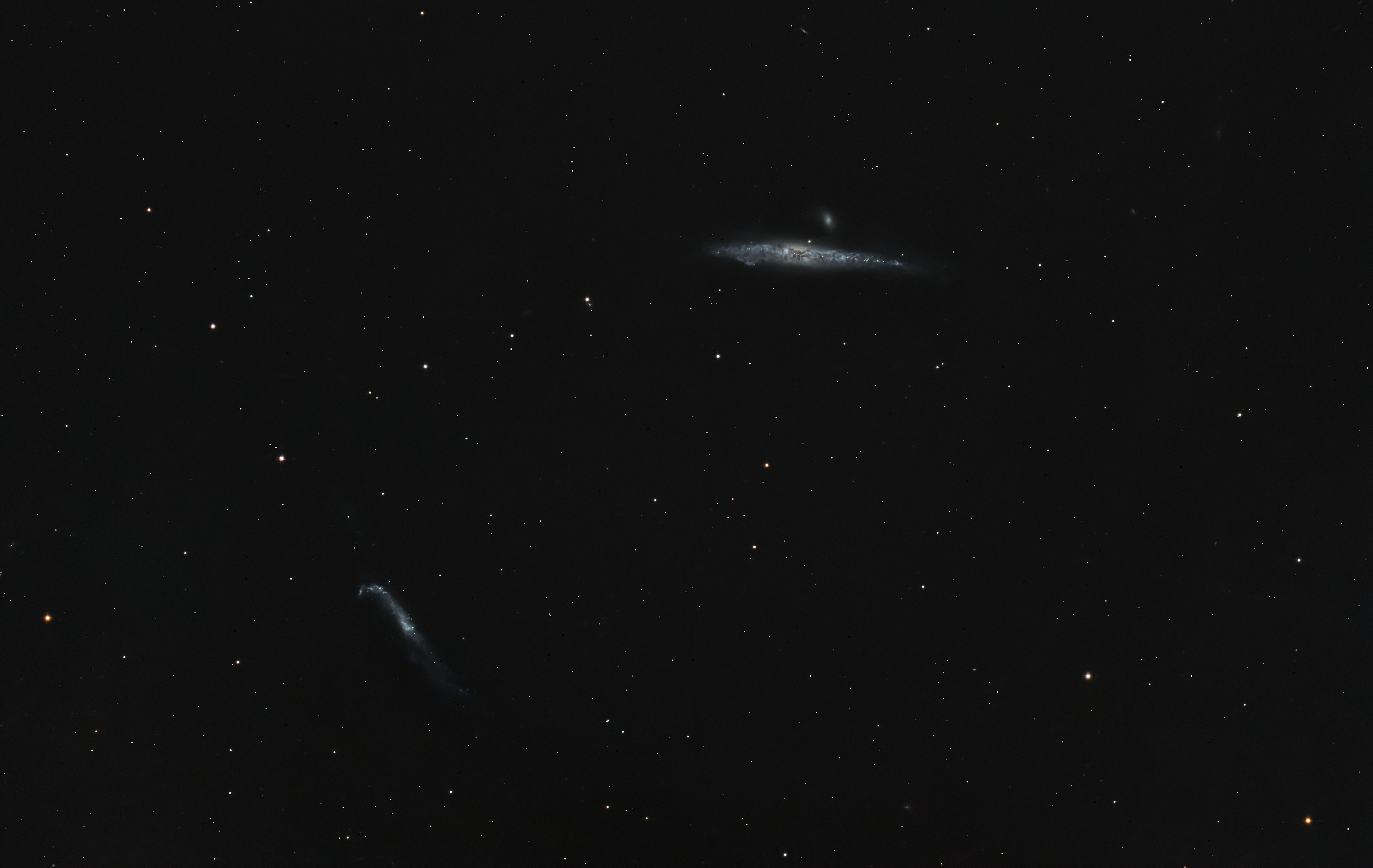 Whale Galaxy