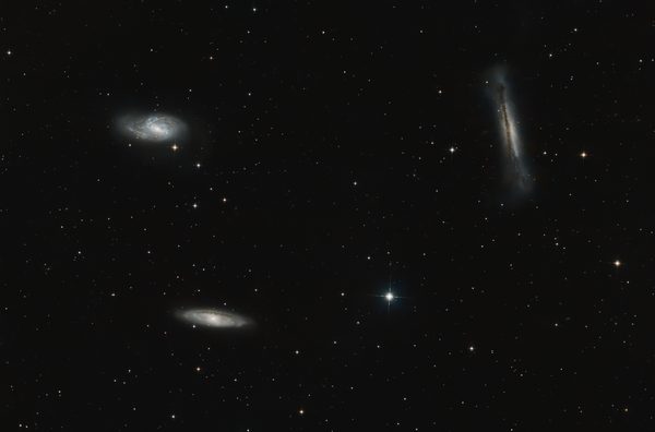 Leo Triplet