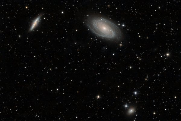 Bode's Galaxy and Companions
