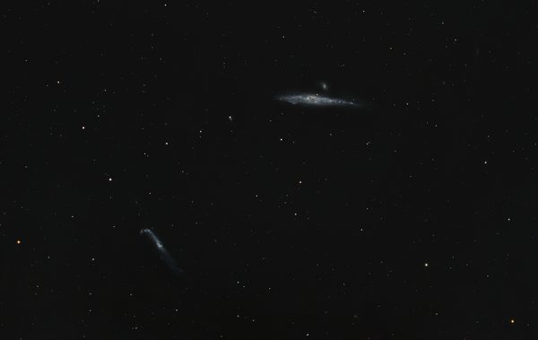 Whale Galaxy